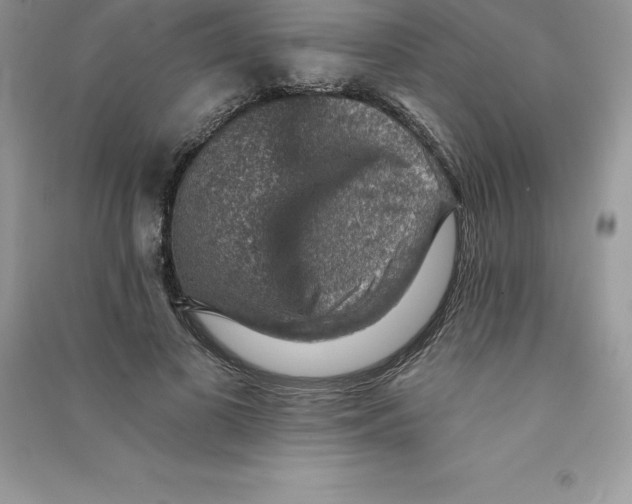 X0000090730693200708171948