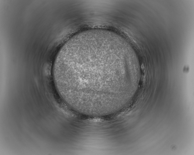 X0000090730695200708171948