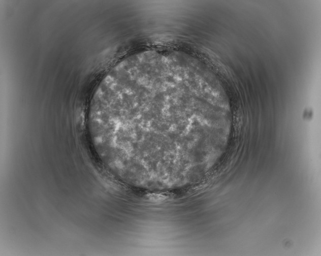 X0000090730703200708171947