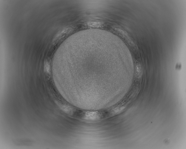 X0000090730705200708171947