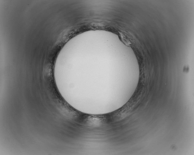 X0000090730706200708171947