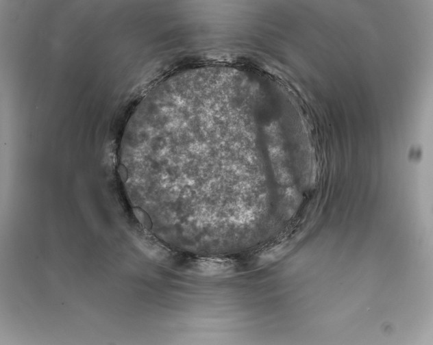 X0000090730707200708171947