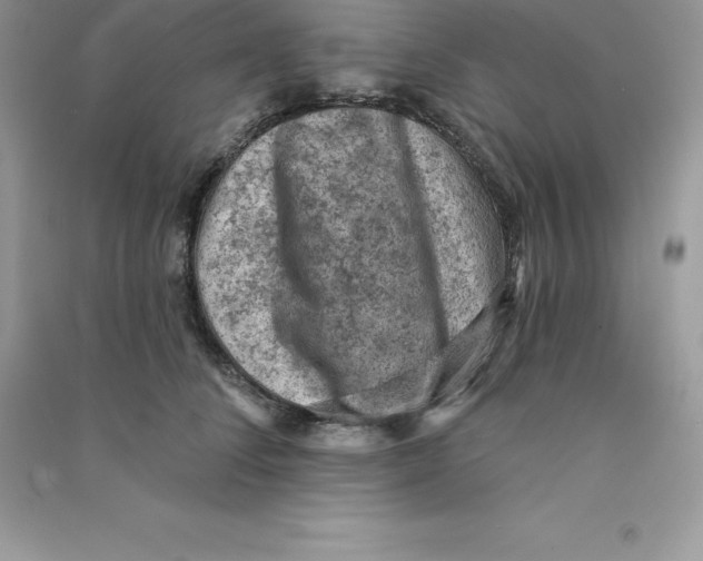 X0000090730708200708171947