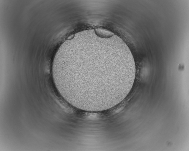 X0000090730710200708171947