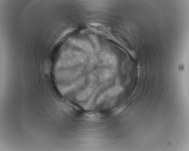 X0000090730712200708171947