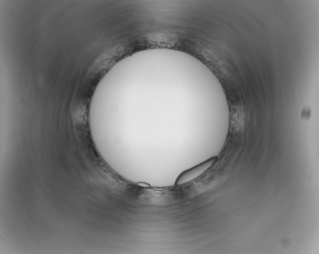 X0000090730713200708171947