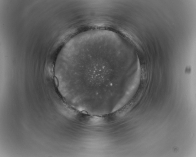 X0000090730718200708171947