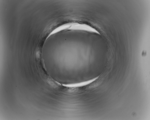 X0000090730720200708171947