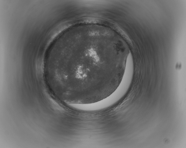 X0000090730722200708171947