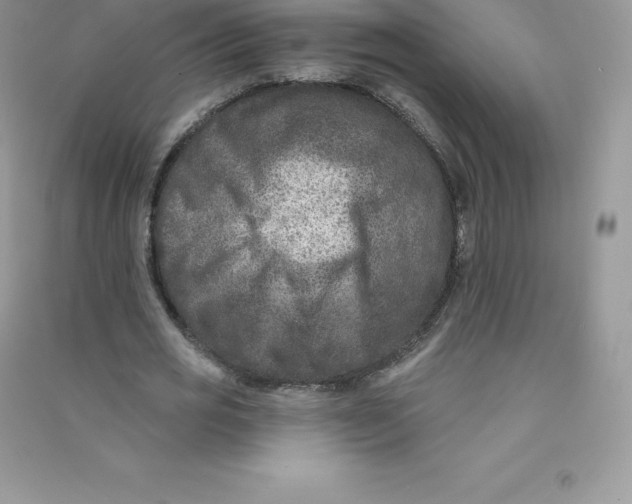 X0000090730725200708171947