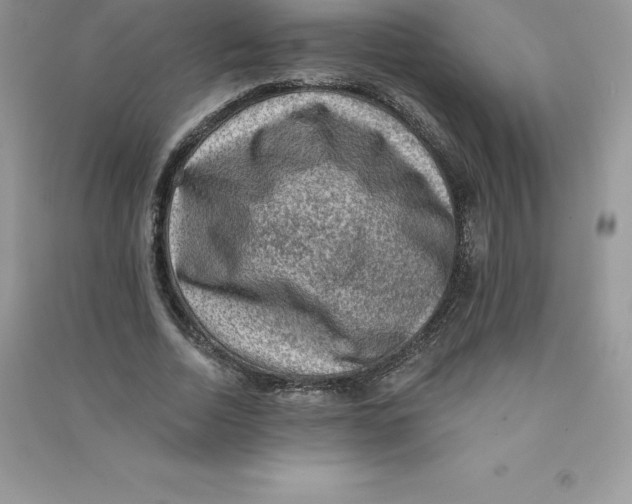 X0000090730730200708171947