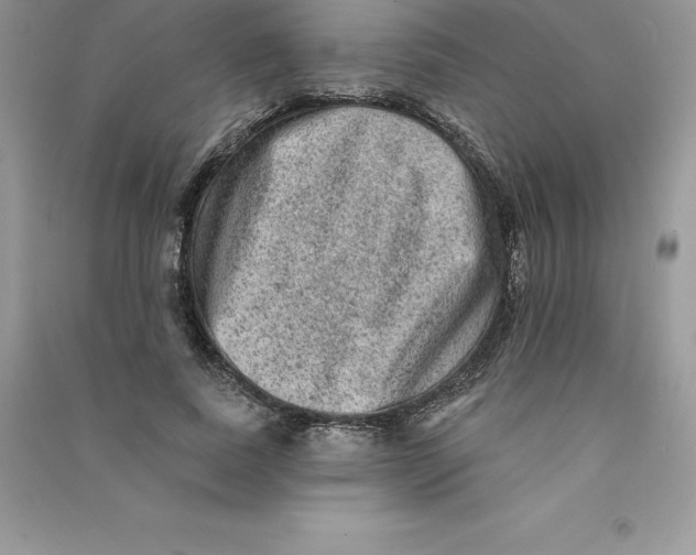 X0000090730739200708171947