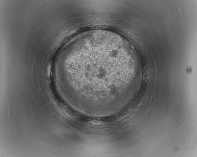 X0000090730742200708171947