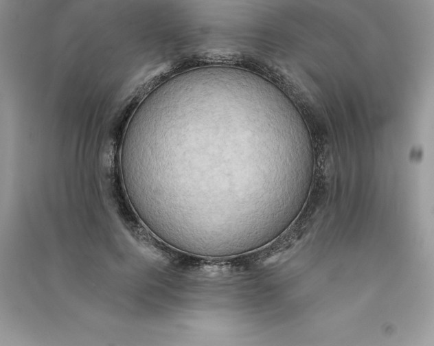 X0000090730744200708171947