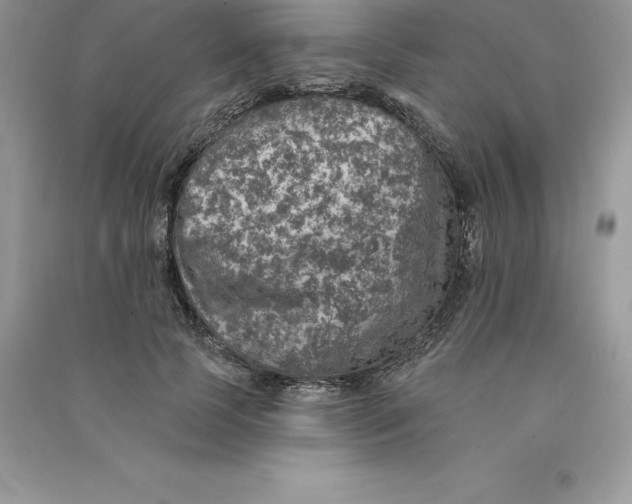 X0000090730745200708171947