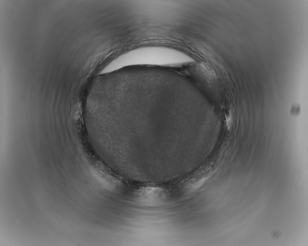 X0000090730748200708171947