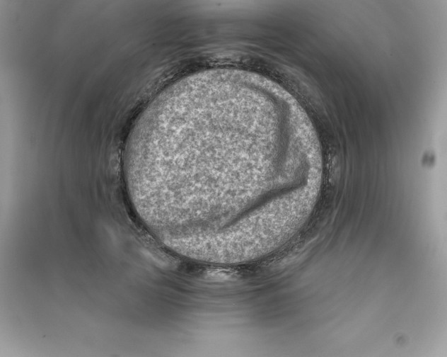 X0000090730753200708171947