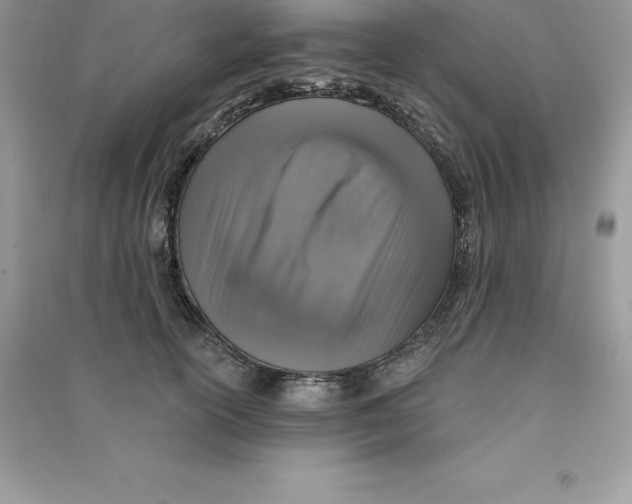 X0000090730754200708171947