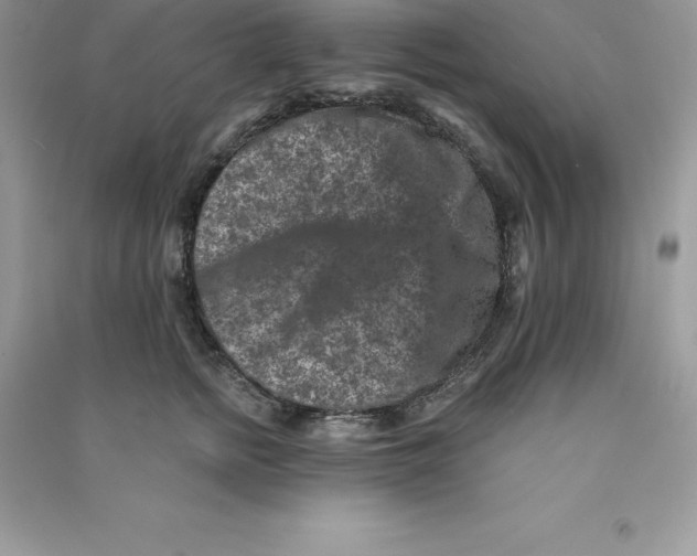 X0000090730758200708171947