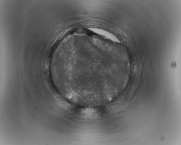 X0000090730759200708171947