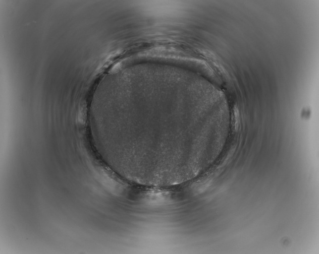 X0000090730760200708171947