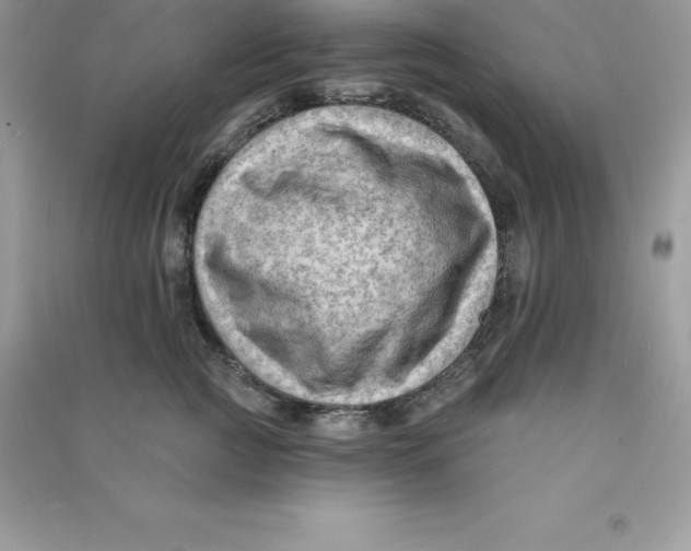 X0000090730761200708171947