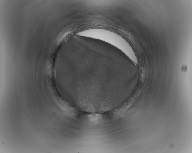 X0000090730762200708171947