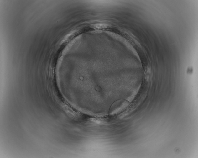 X0000090730763200708171947