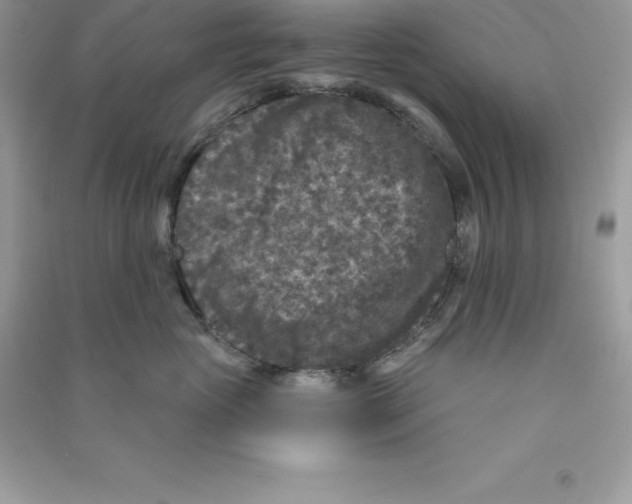 X0000090730765200708171947