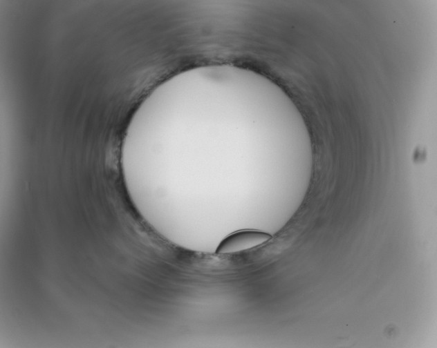 X0000090730768200708171947