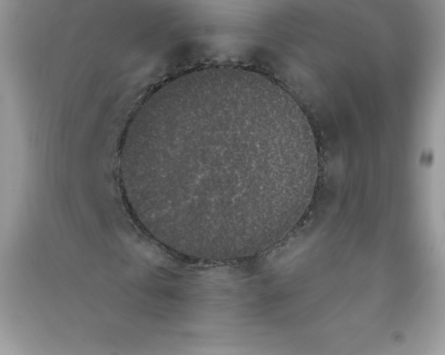 X0000090730769200708171946