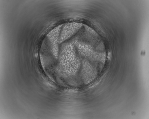 X0000090730771200708171946