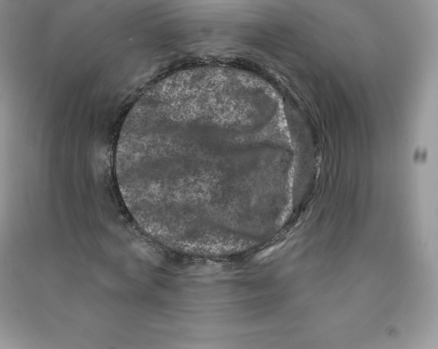 X0000090730772200708171946