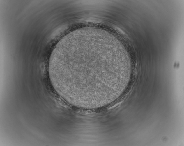 X0000090730774200708171946