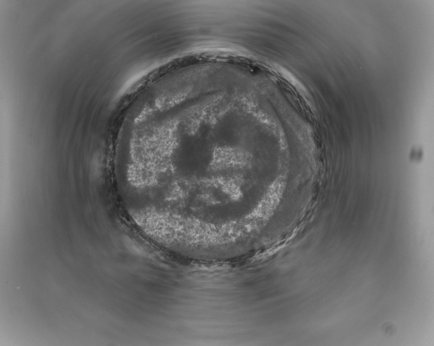 X0000090730775200708171946