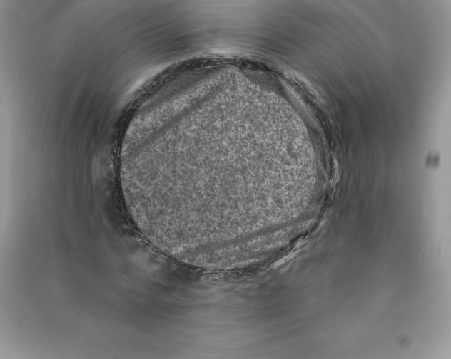 X0000090730776200708171946