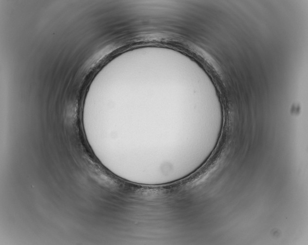 X0000090730778200708171946