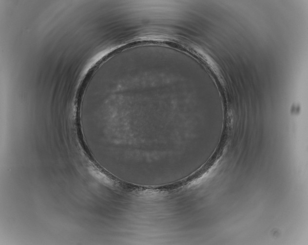 X0000090730779200708171946