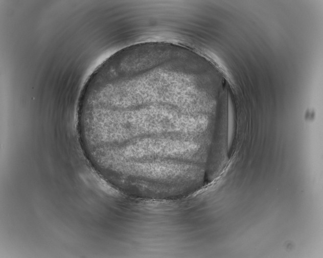 X0000090730780200708171946