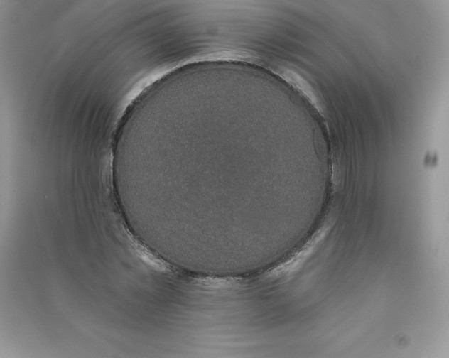 X0000090730781200708171946