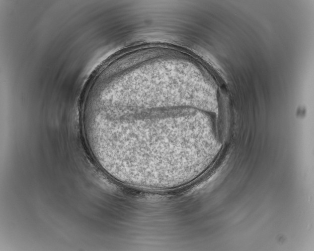 X0000090730782200708171946