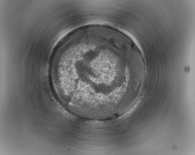 X0000090730783200708171946