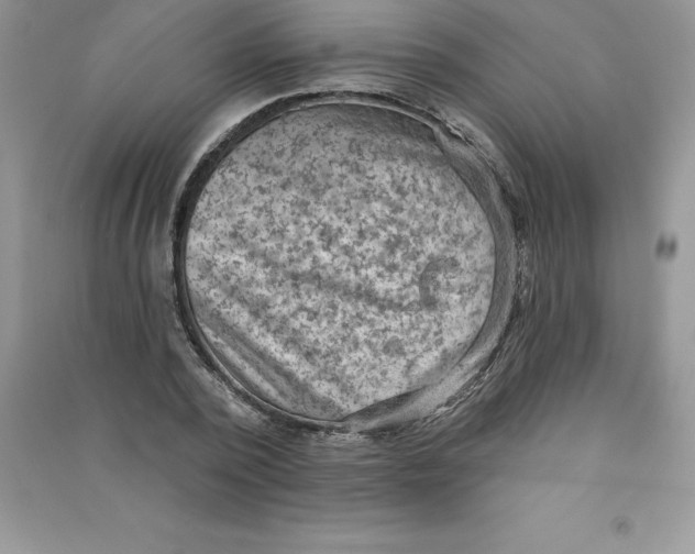 X0000090730784200708171946