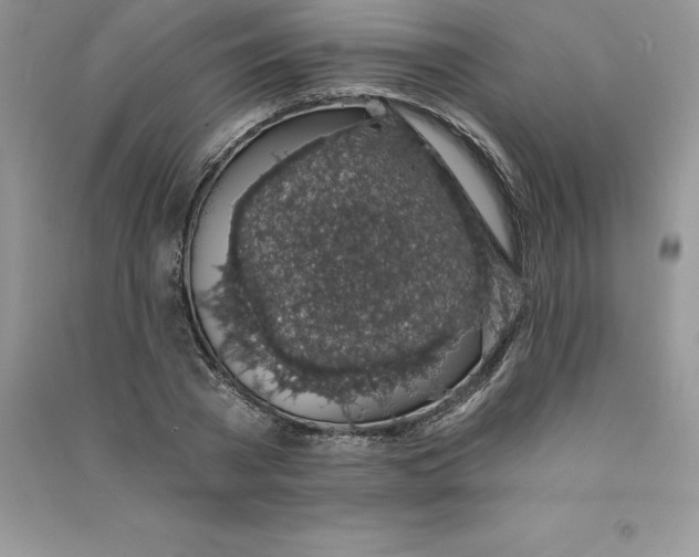 X0000090730785200708171946