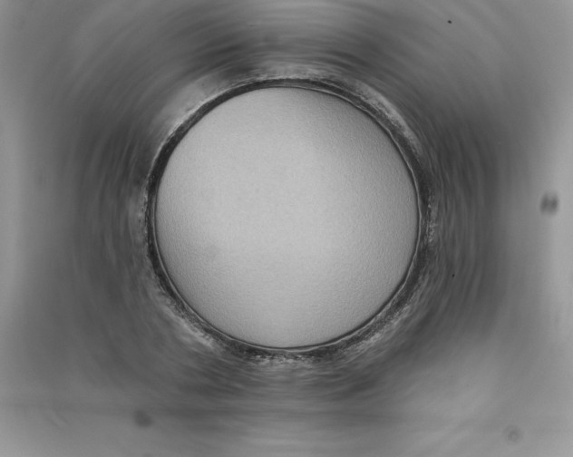 X0000090730786200708171946