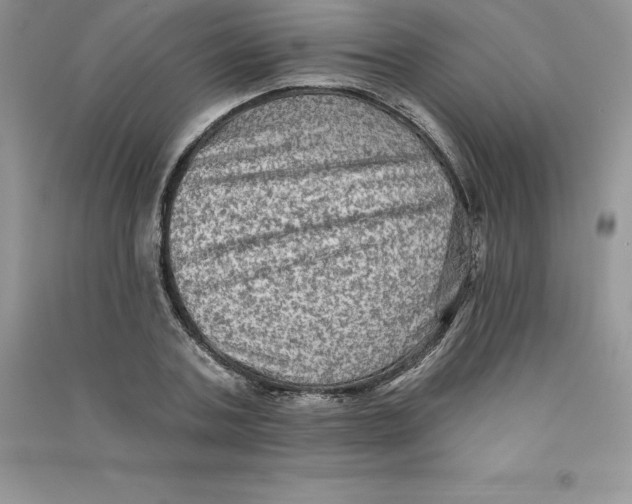 X0000090730787200708171946