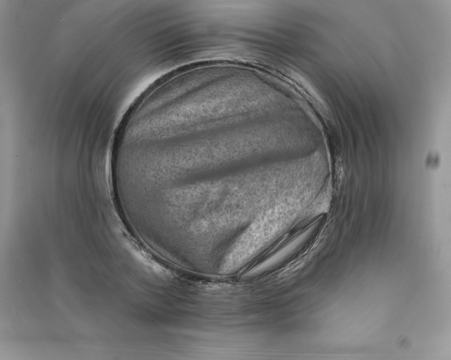 X0000090730788200708171946