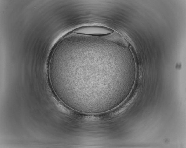 X0000090730789200708171946