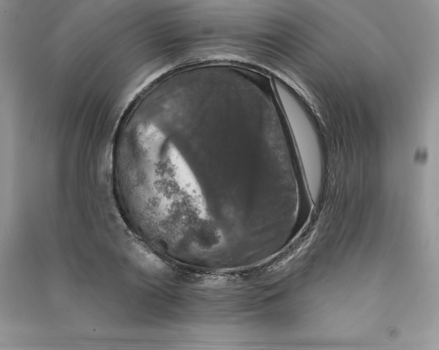 X0000090730790200708171946