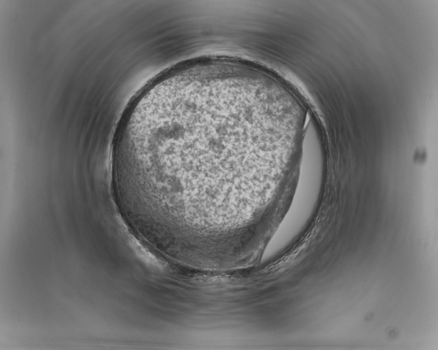 X0000090730791200708171946